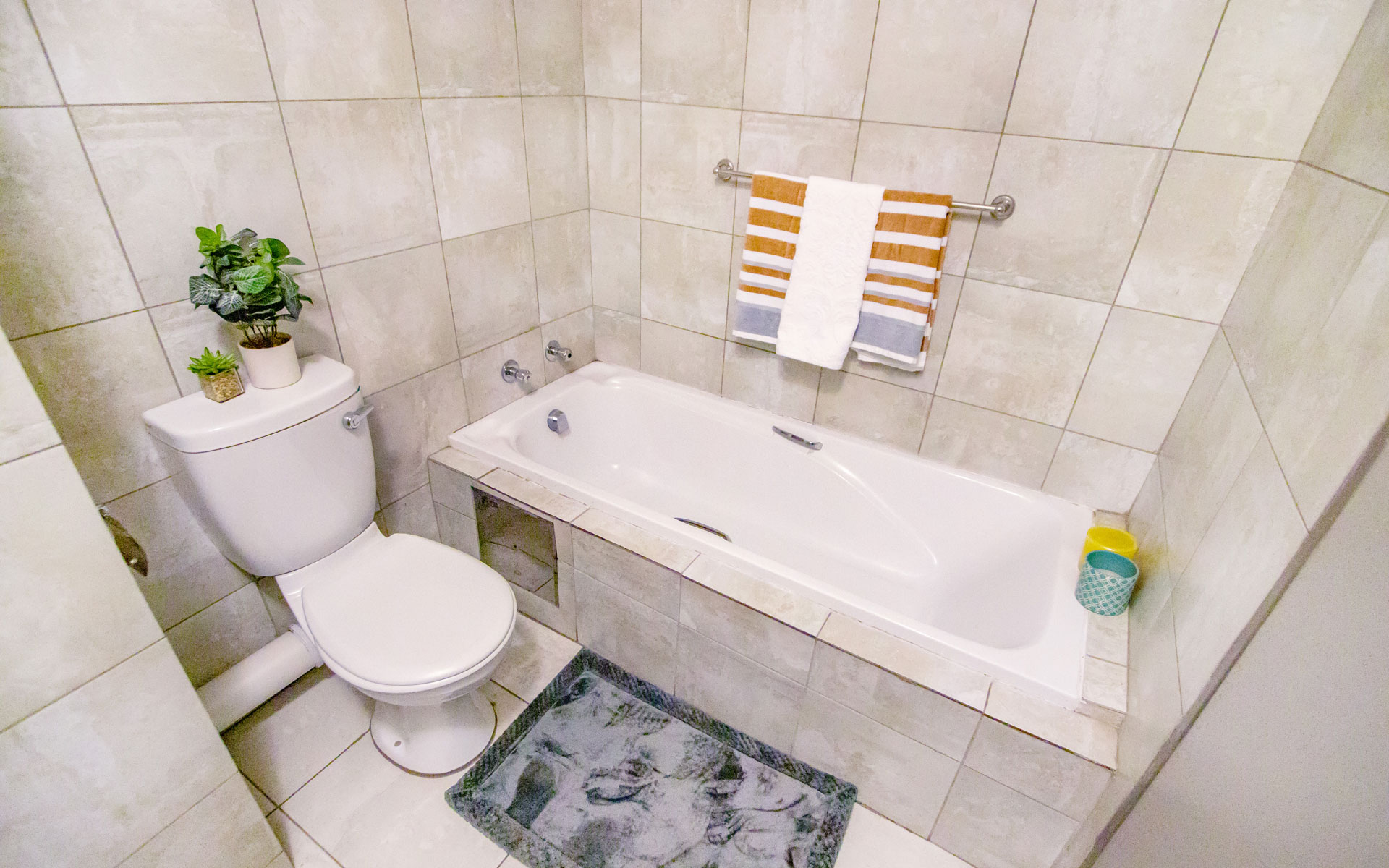 SH_Bachelor-Apartment_-Show-Space_15